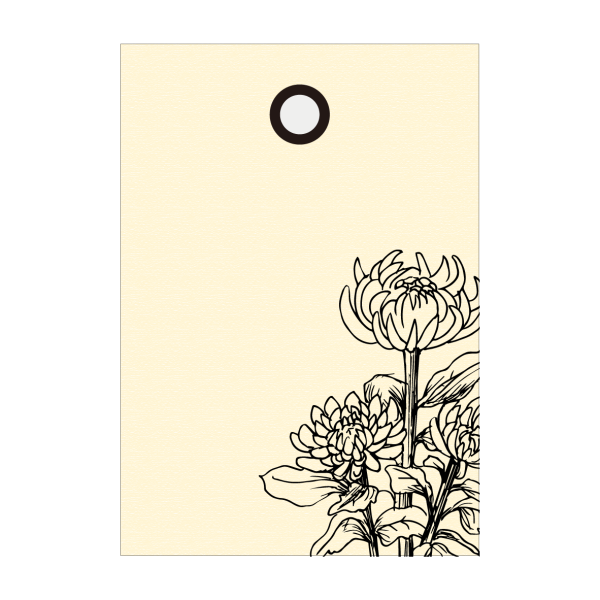 菊