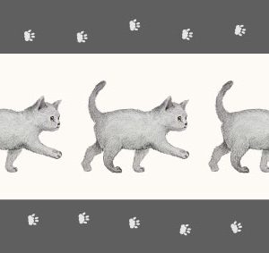 GREETING CARD&WAX ENVELOPE　歩くねこ（6セット）