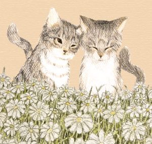 GREETING CARD&WAX ENVELOPE　ねこ花畑（オレンジ）（6セット）