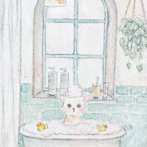 POST CARD  ねこ風呂（1枚入り×６セット）