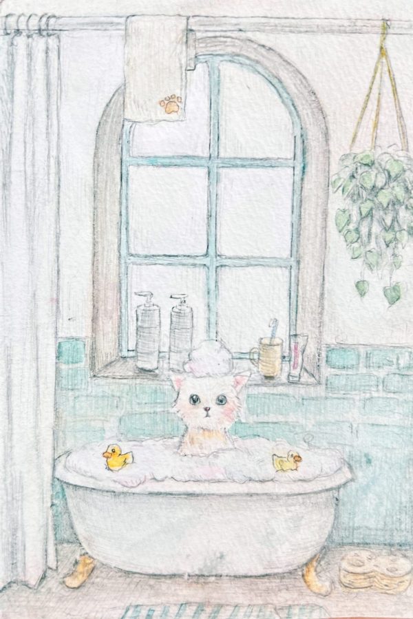 POST CARD  ねこ風呂（1枚入り×６セット）