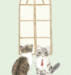 POST CARD  ねこ窓（1枚入り×６セット）