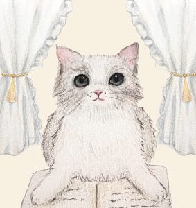 POST CARD  ねこ本（1枚入り×６セット）