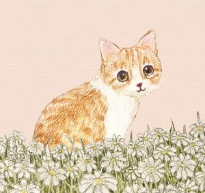POST CARD  ねこ花畑（ピンク）（1枚入り×６セット）