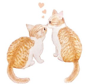 POST CARD  ねこ二匹（1枚入り×６セット）