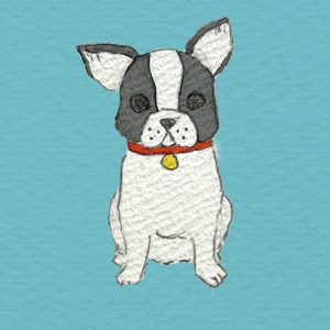 POST CARD  フレンチブルドッグ（1枚入り×６セット）