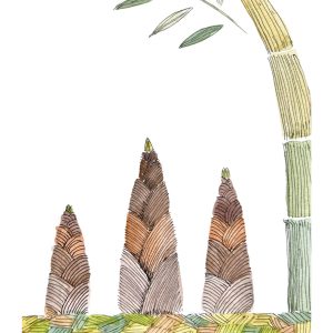 POST CARD  タケノコ（1枚入り×６セット）