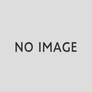 ホワイトトレーシングウィンドウ　ラッピングキット　(6セット）「写真無し」