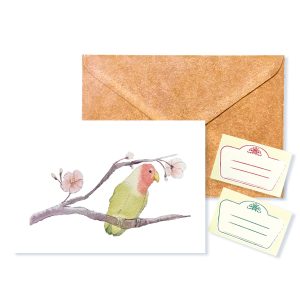 POST CARD＆WAX ENVELOPE  桜インコ  （1枚入り×６セット）