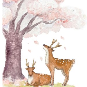 POST CARD  桜と鹿（1枚入り×６セット）