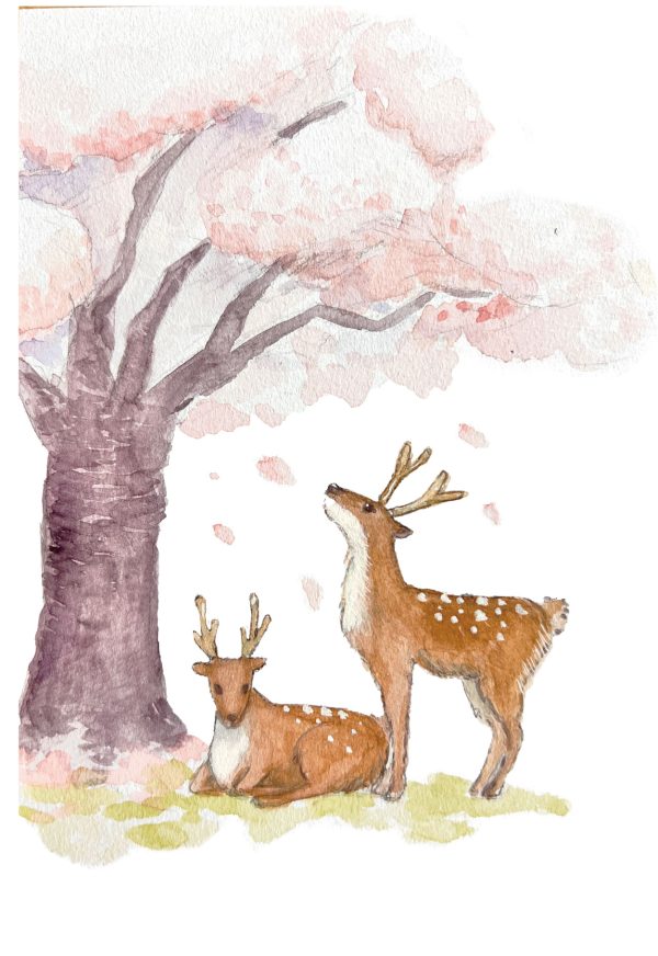 POST CARD  桜と鹿（1枚入り×６セット）