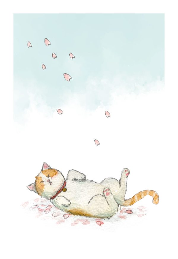 POST CARD  桜と猫（1枚入り×６セット）