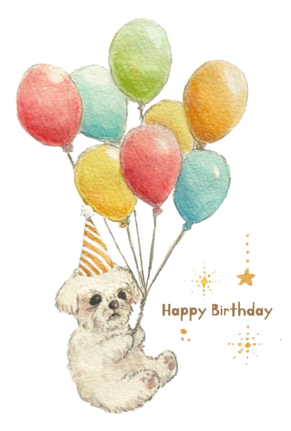 POST CARD  犬ふうせん（1枚入り×６セット）