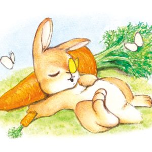 POST CARD  お昼寝（1枚入り×６セット）
